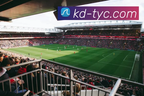 太阳城网站APP 体育赛事宣传图